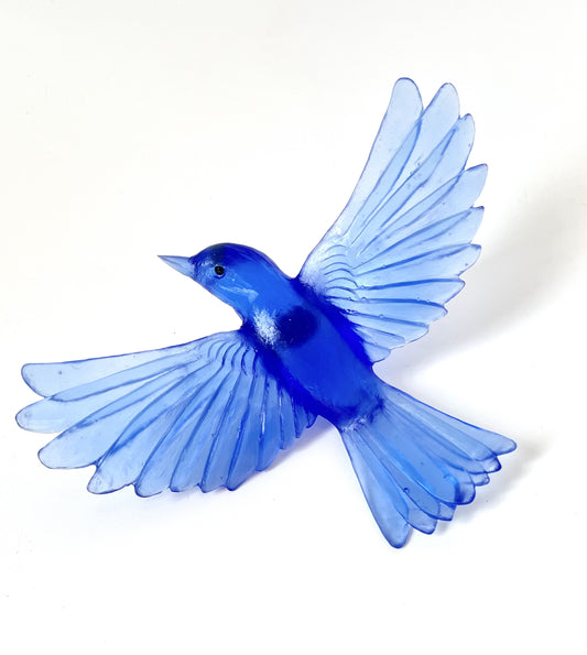 Yellowhead / Mōhua - Cobalt Blue