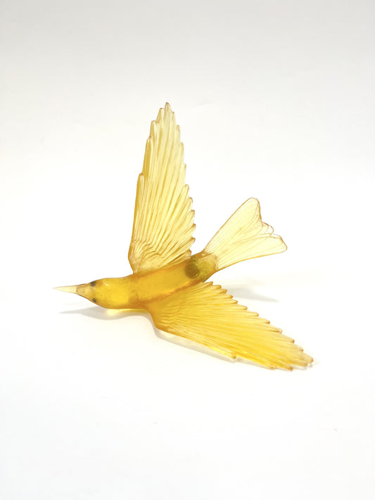 Bellbird / Korimako - Pale Yellow