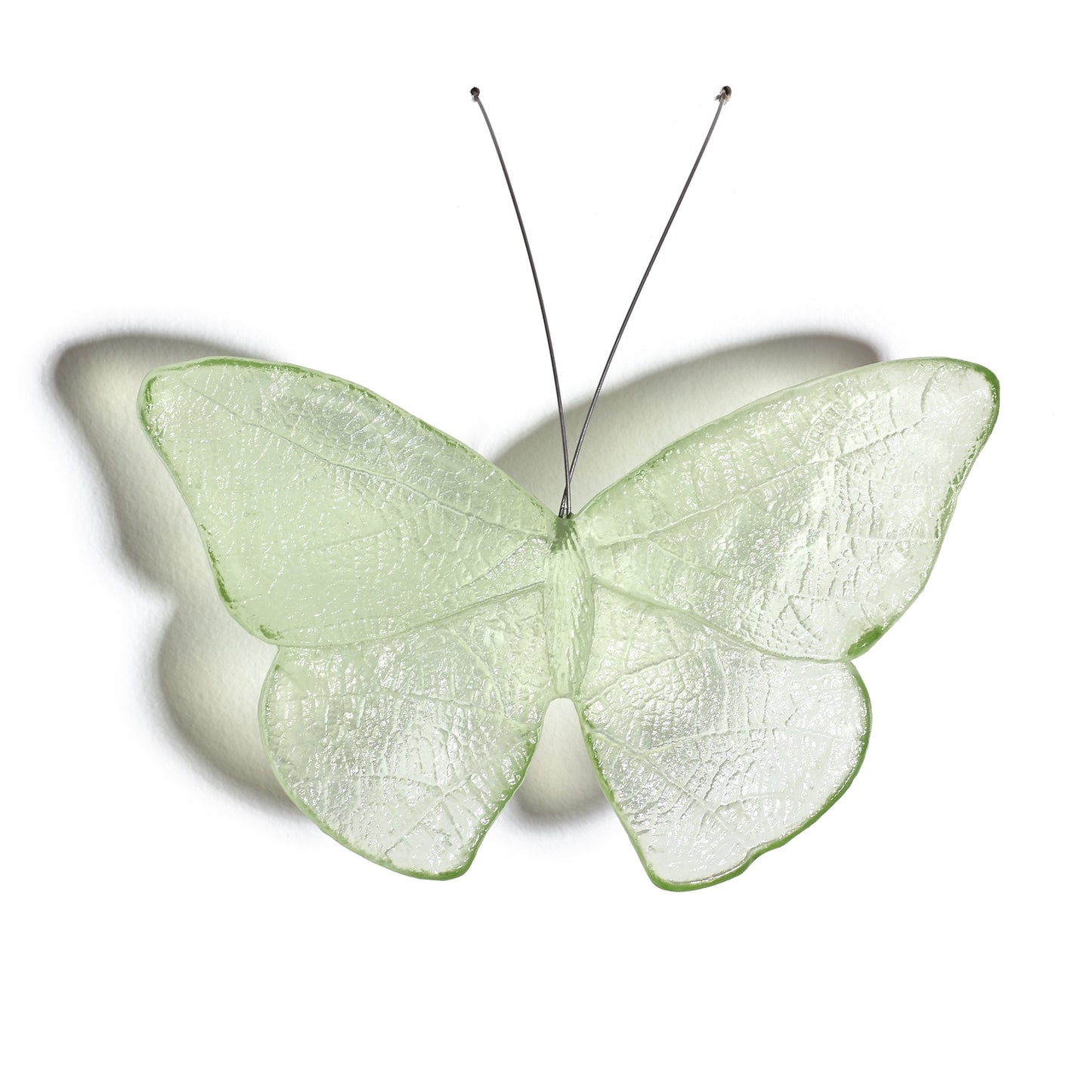 Glass Red Admiral / Kahukura Butterfly - Pale Lime