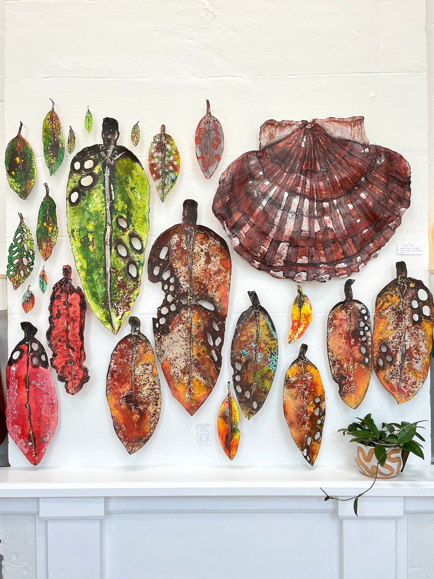 Medium Pohutukawa Leaf (19546)