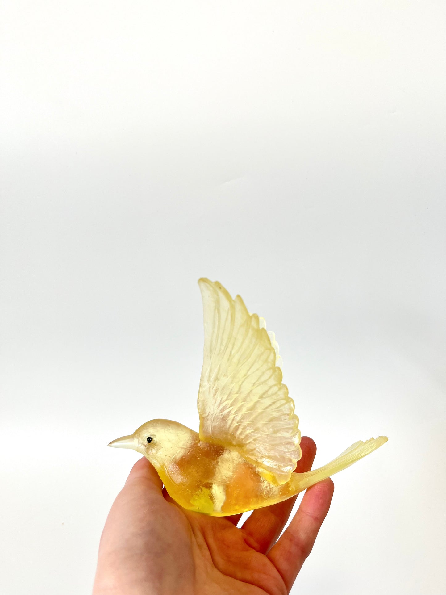 Stitchbird / Hihi - Citrine
