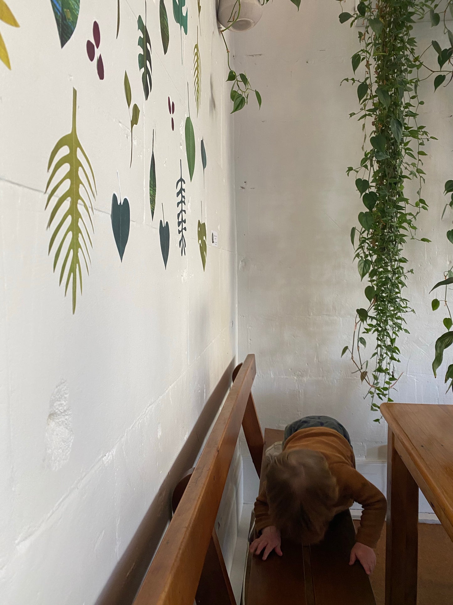 Restickable Botanical leaves
