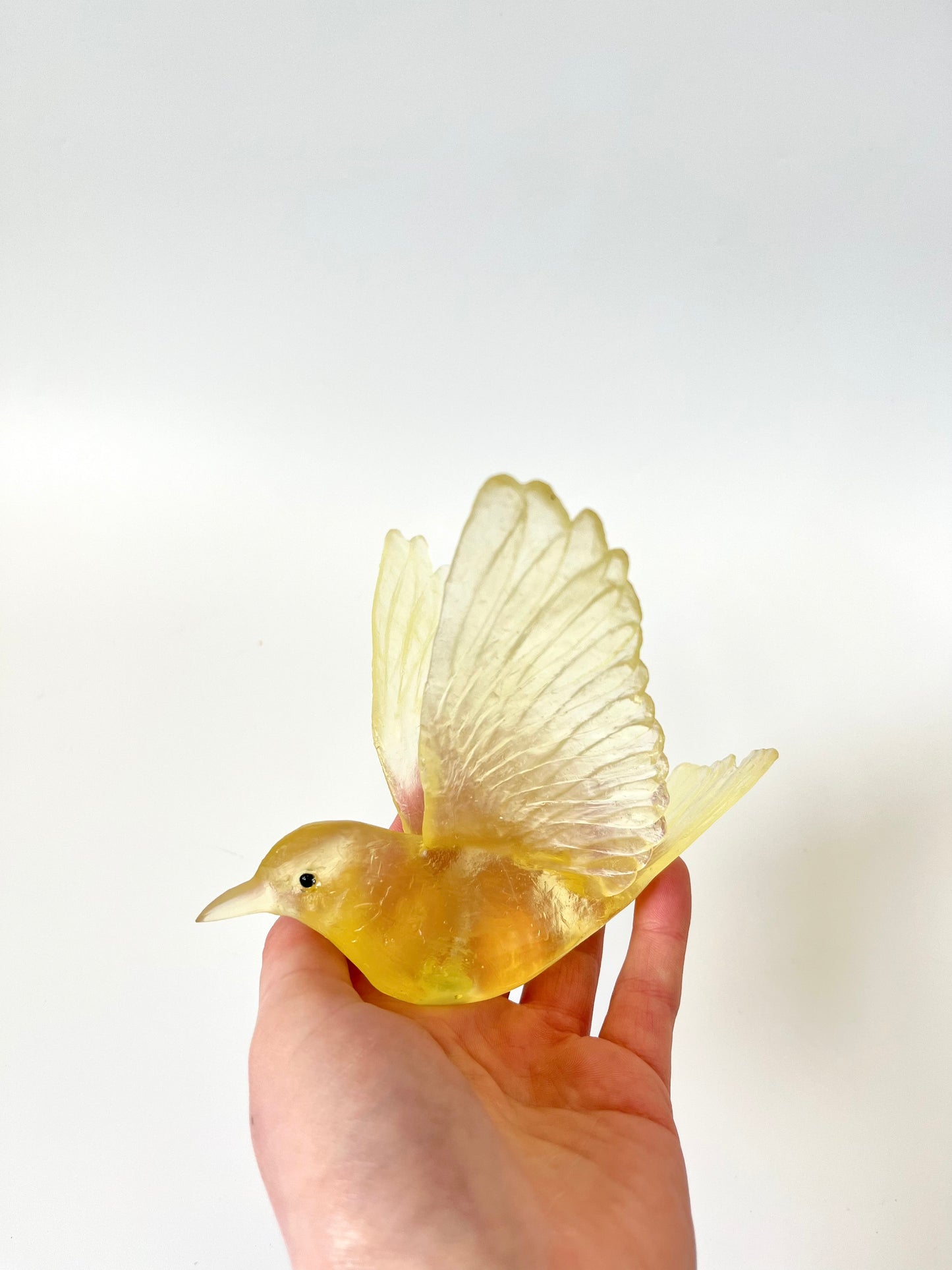 Stitchbird / Hihi - Citrine