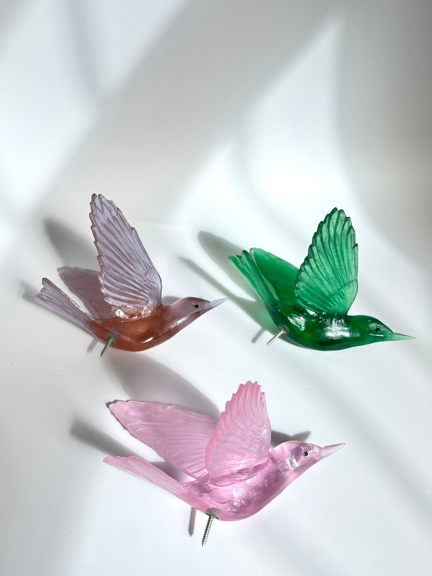 Bellbird / Korimako - Emerald