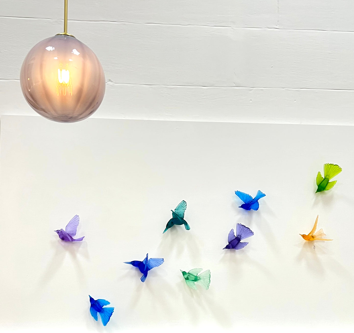 Silvereye / Tauhou - Aquamarine