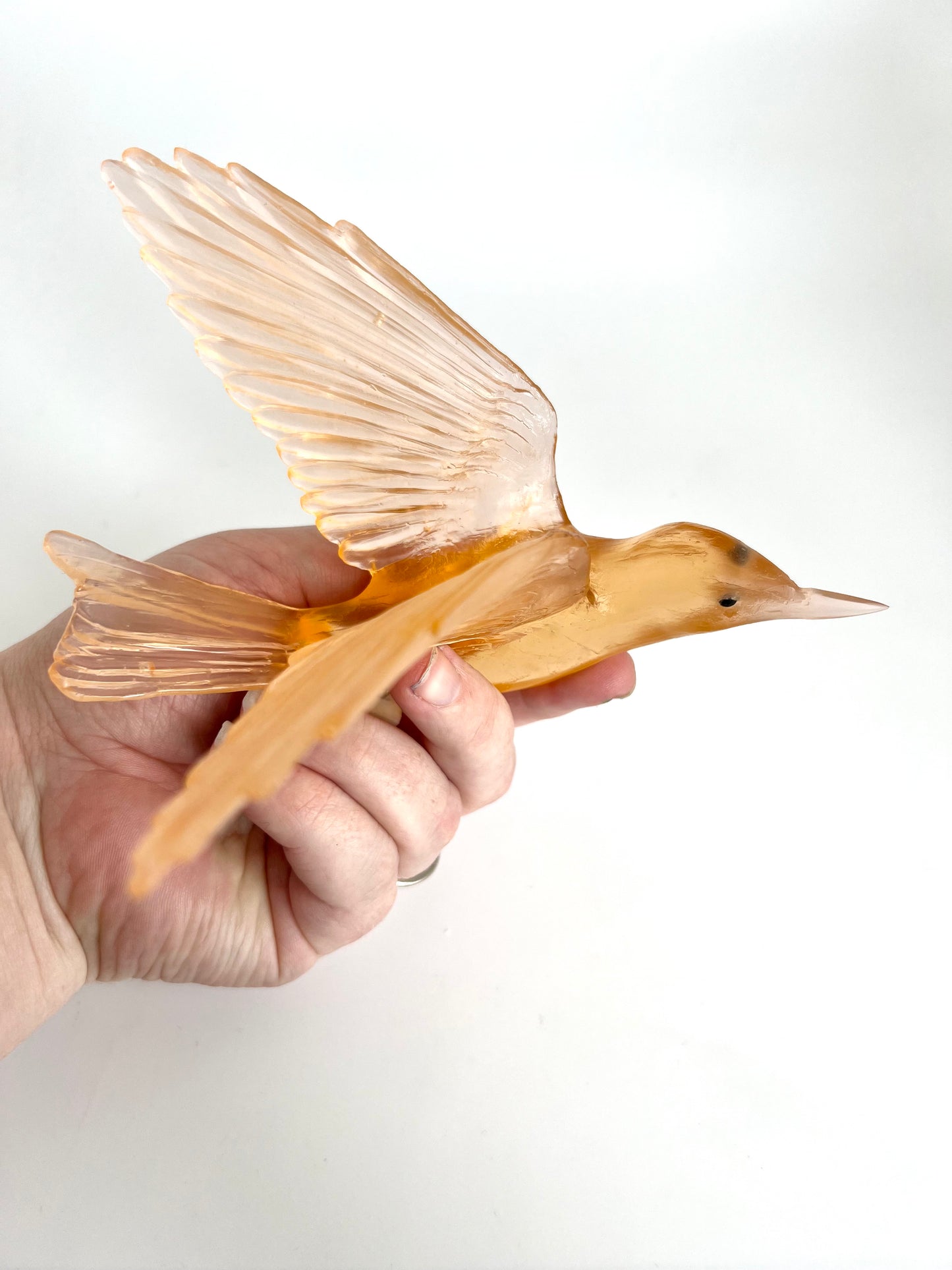 Bellbird / Korimako - Apricot
