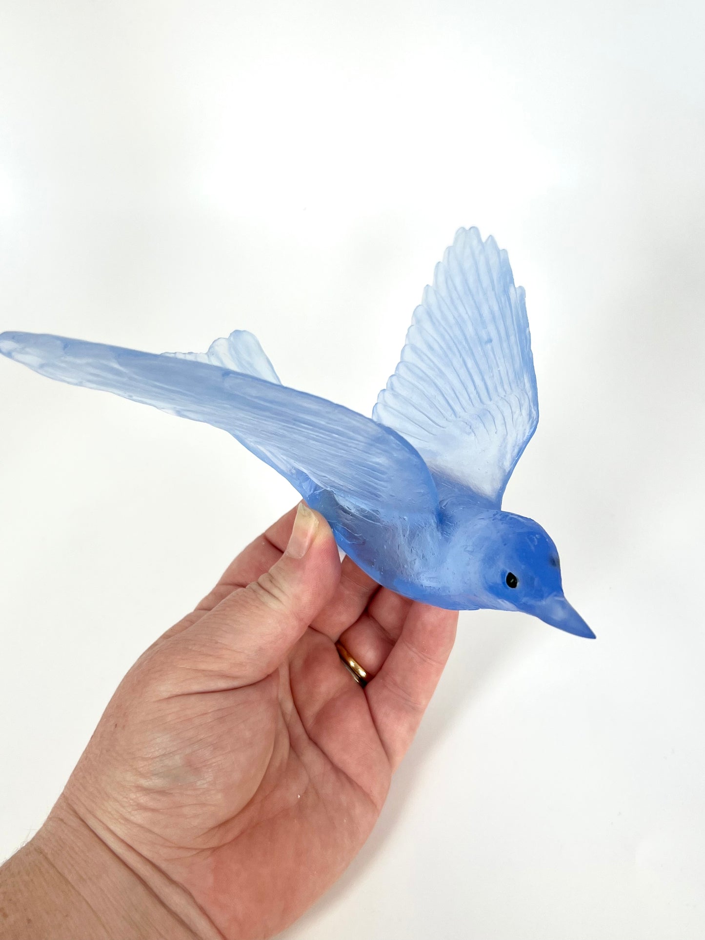 Bellbird / Korimako - Pale Steel Blue
