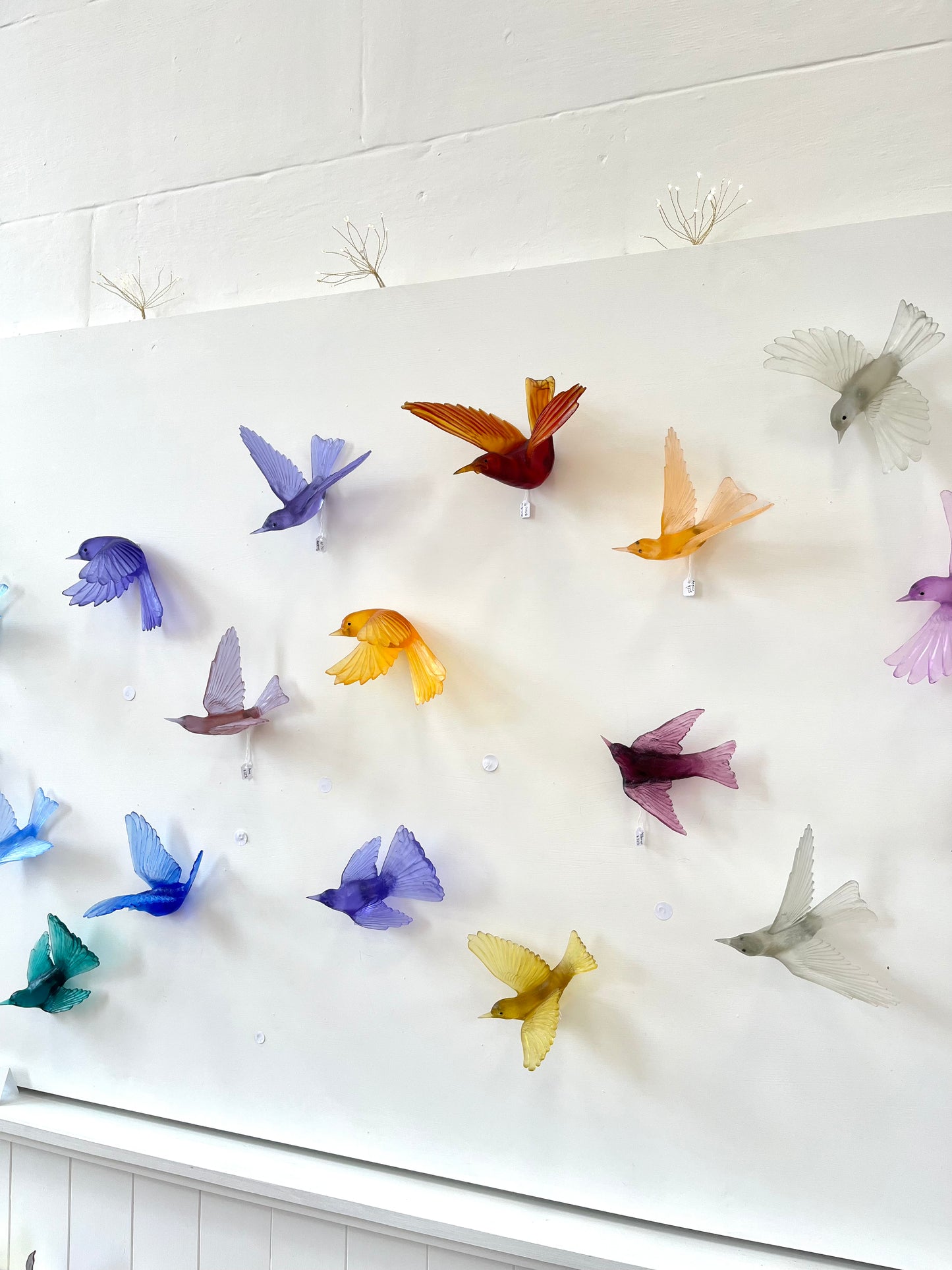 Bellbird / Korimako - Pale Grey