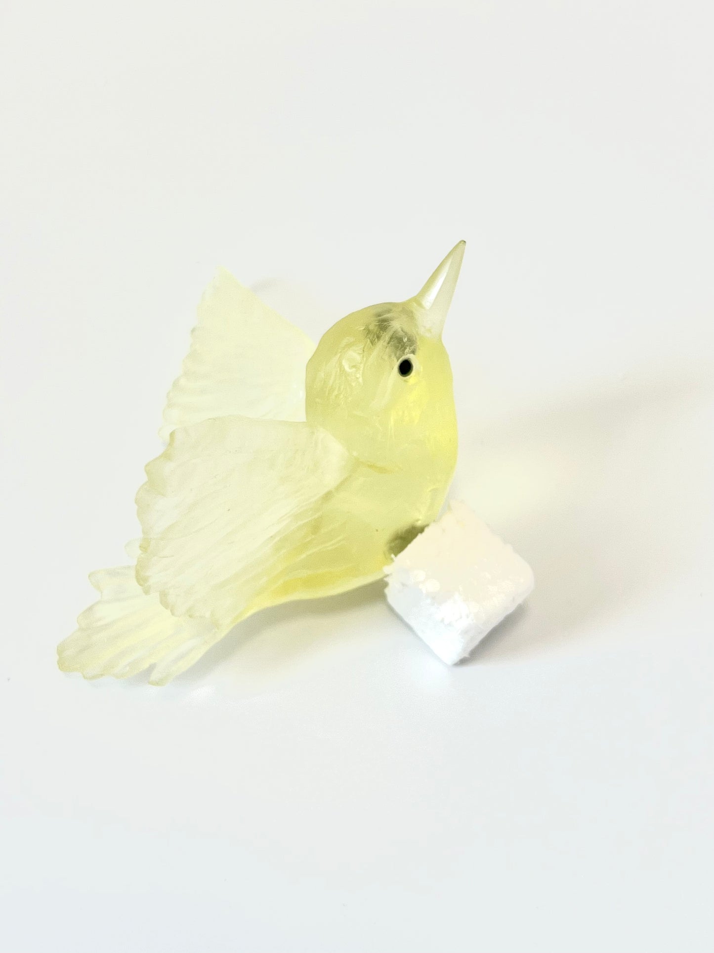 Tomtit / Kōmiromiro - Citrine