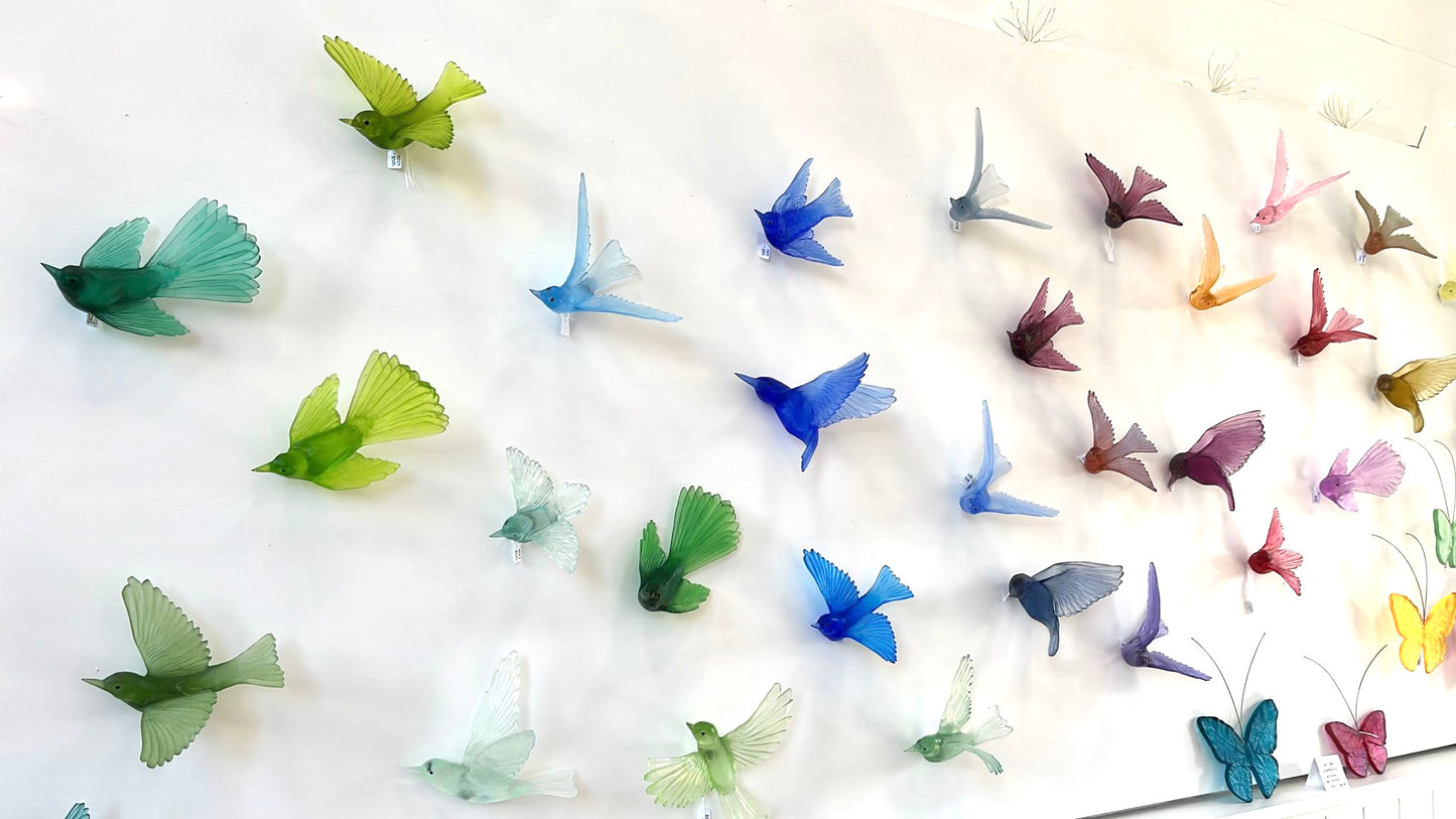 Bellbird / Korimako - Pale Steel Blue