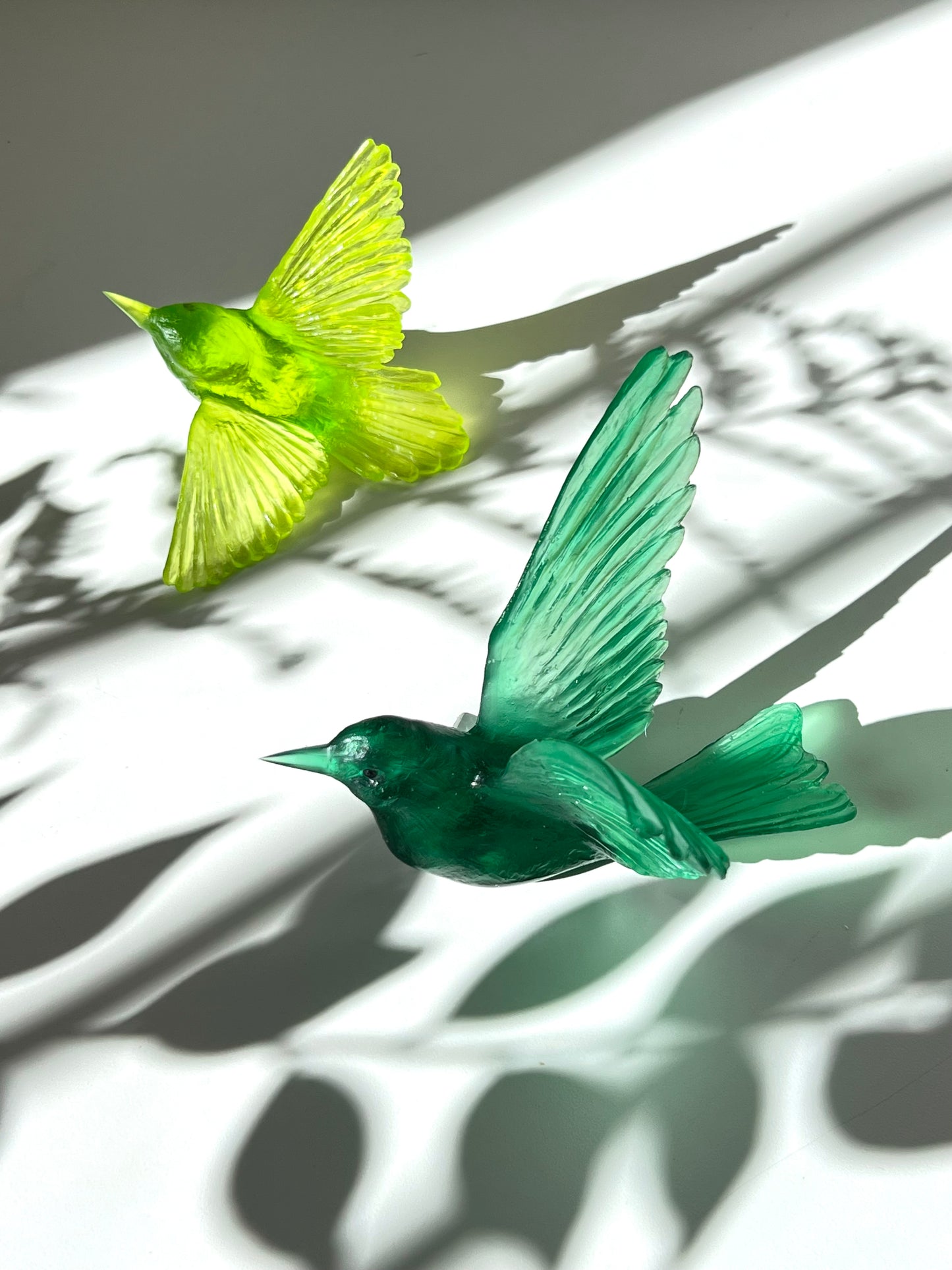 Stitchbird / Hihi - Emerald