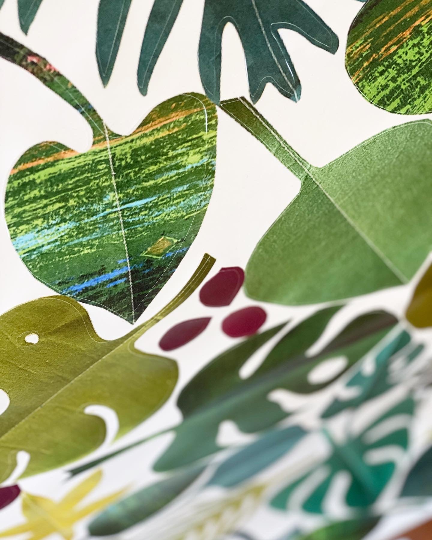 Restickable Botanical leaves