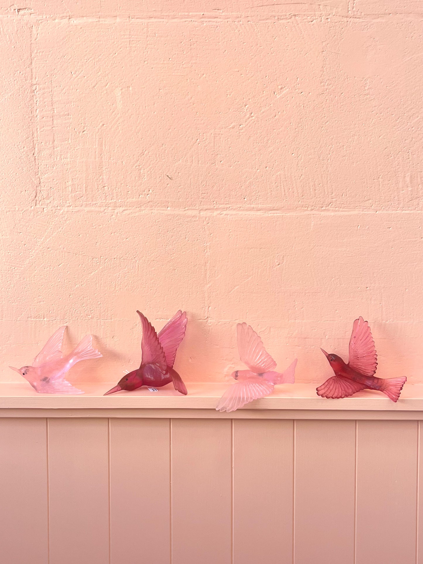 Swallow / Warou - Pink