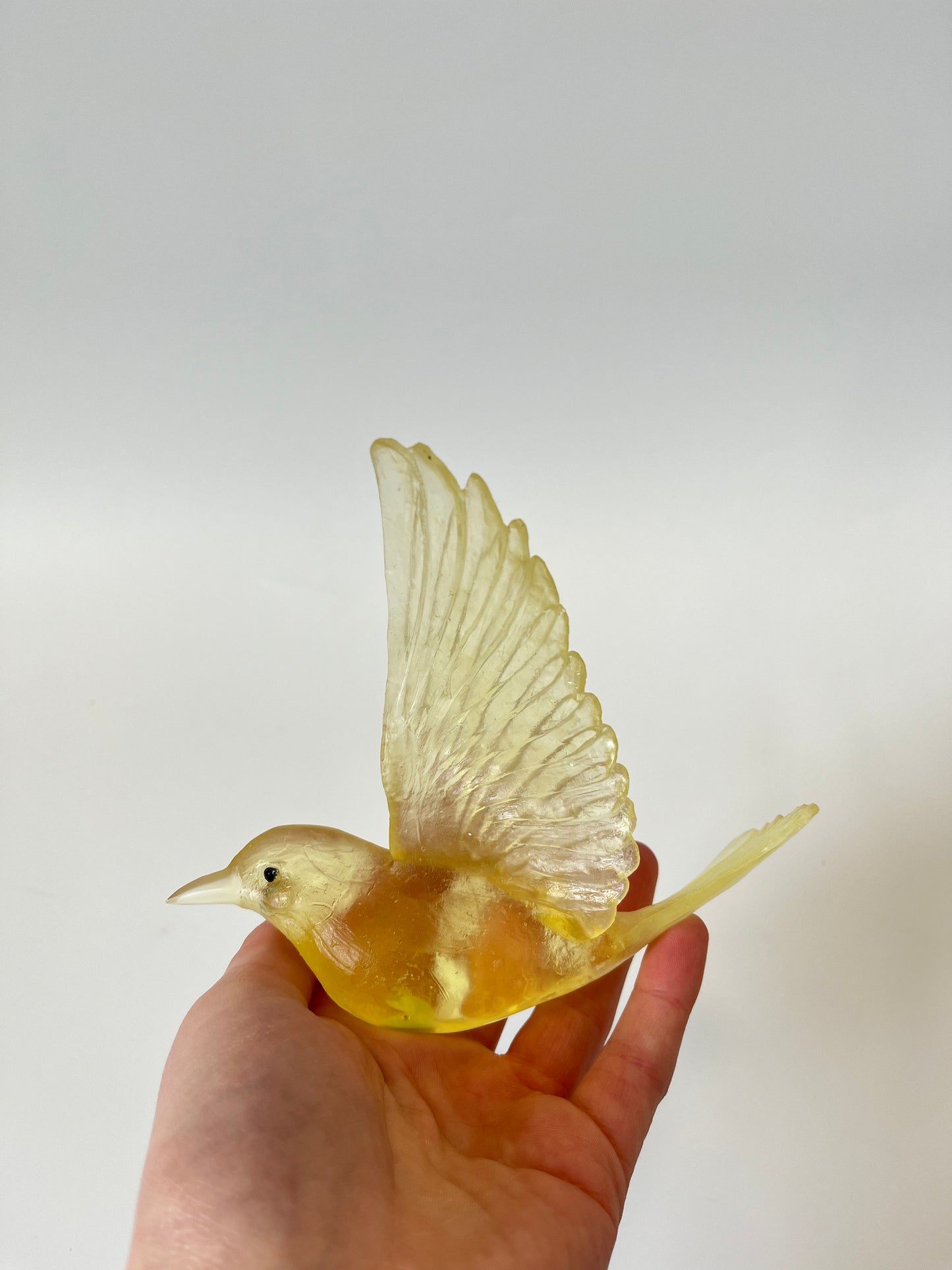 Stitchbird / Hihi - Citrine