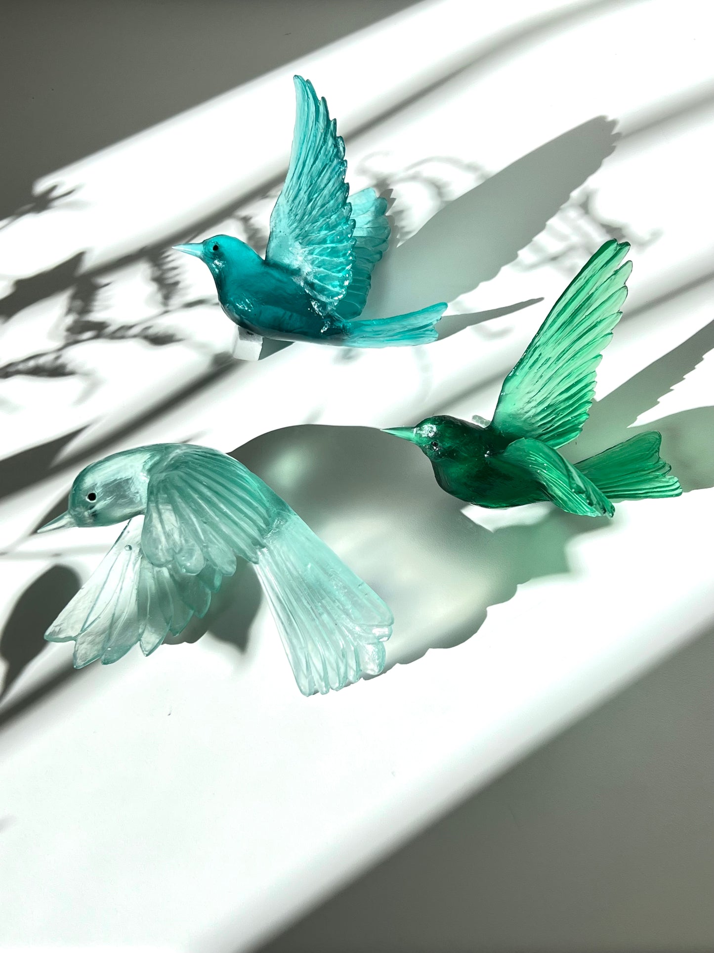Stitchbird / Hihi - Emerald