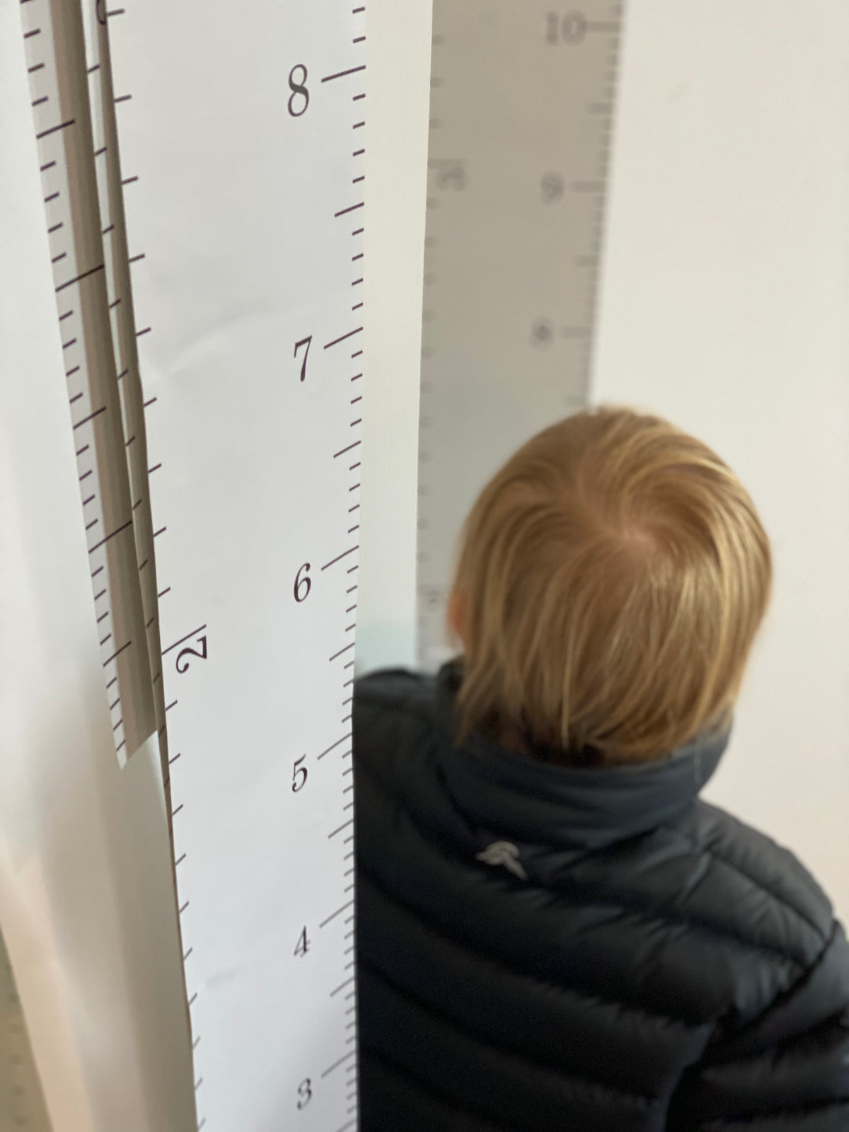 Wall Ruler - Grey