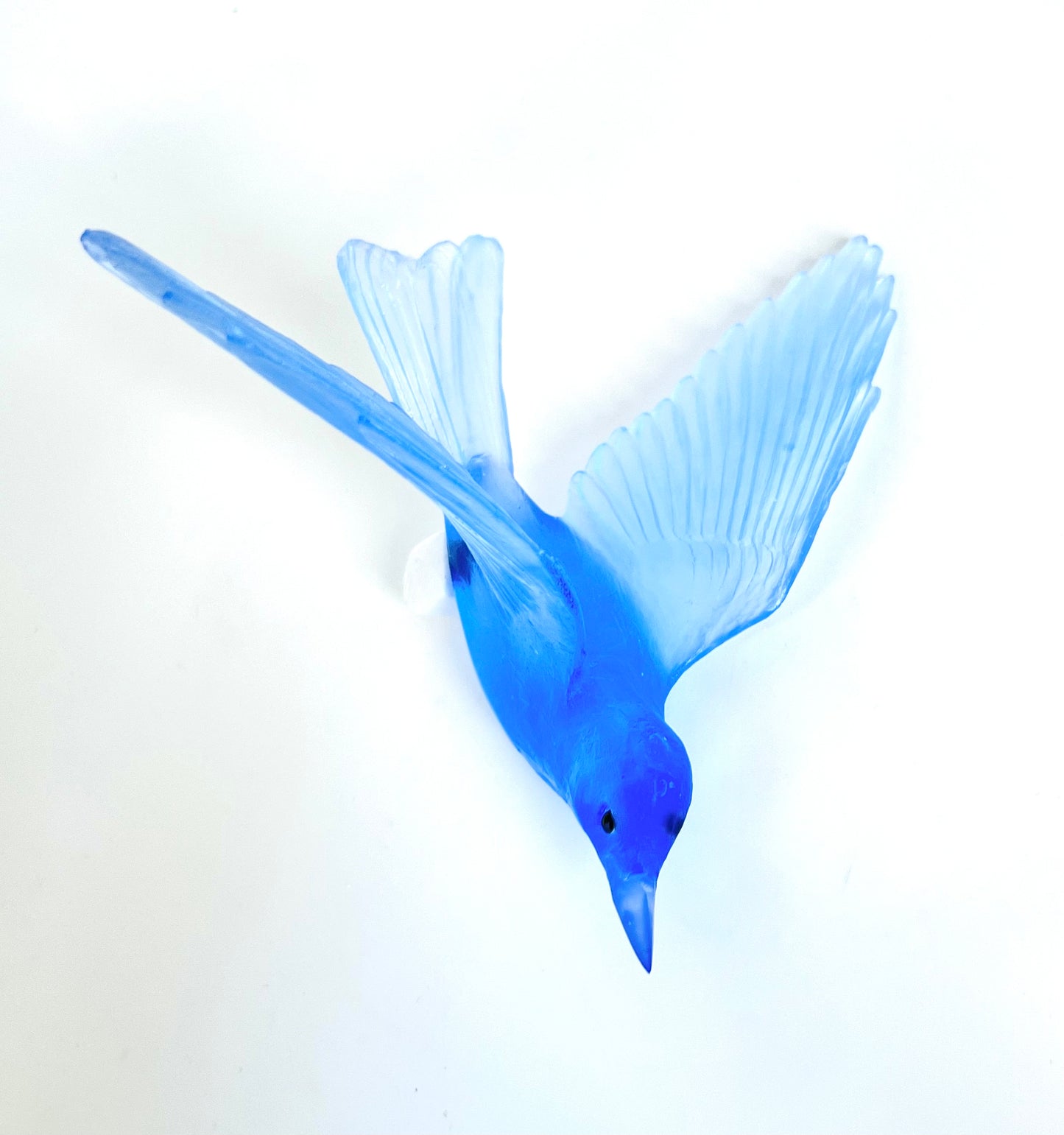 Bellbird / Korimako - Pale Cobalt Blue