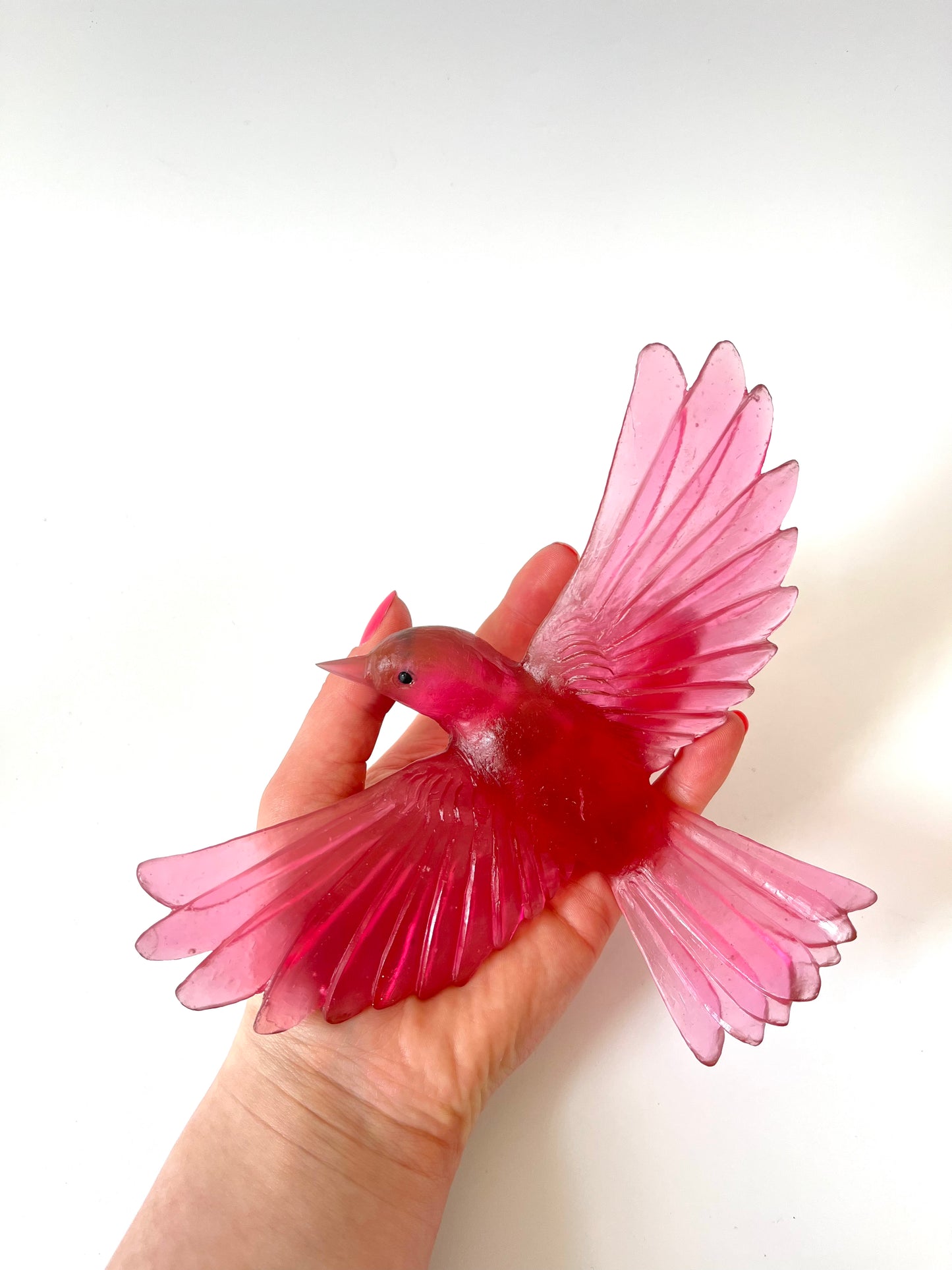 Yellowhead / Mōhua - Gold Ruby