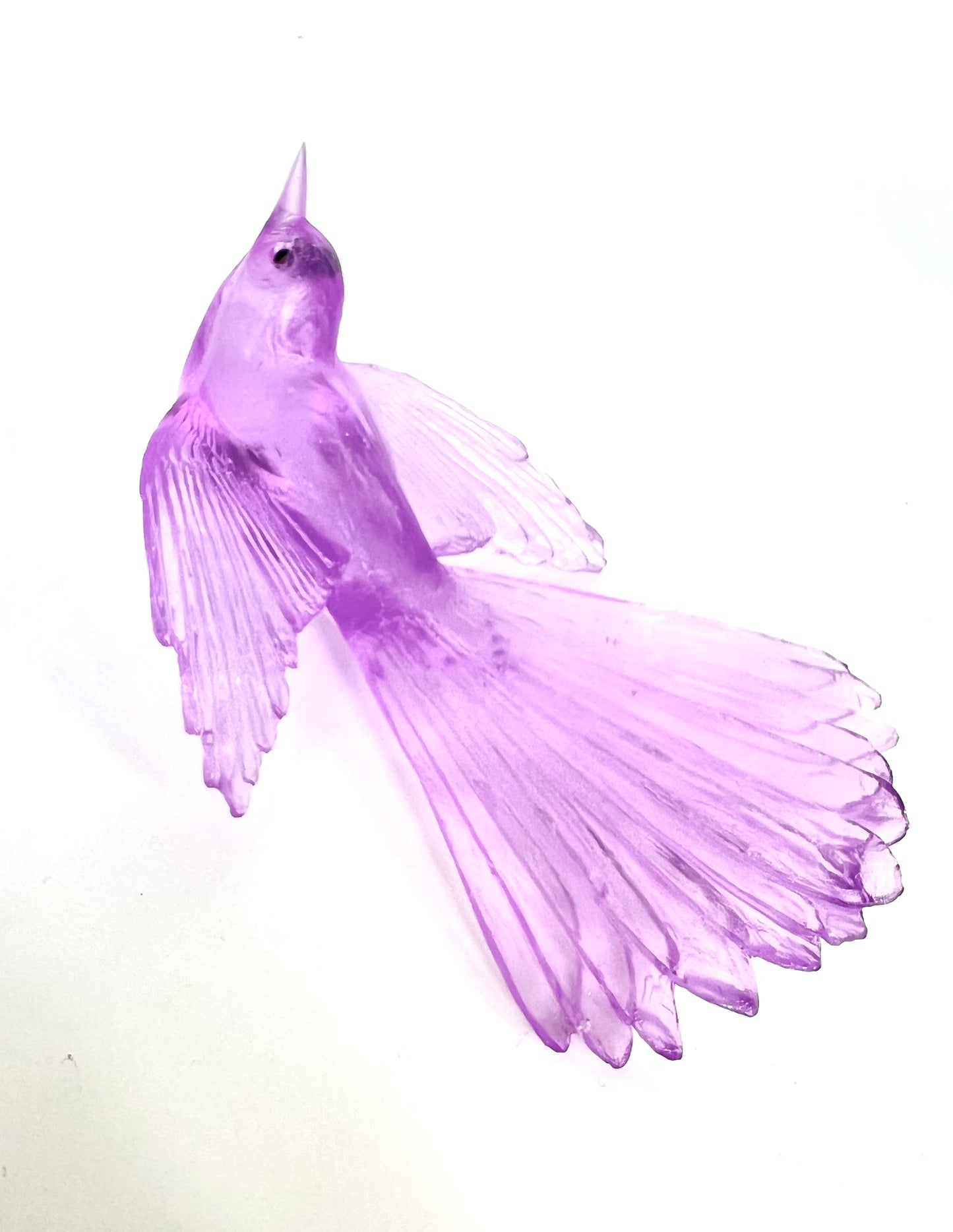 Fantail / Pīwakawaka - Fuchsia
