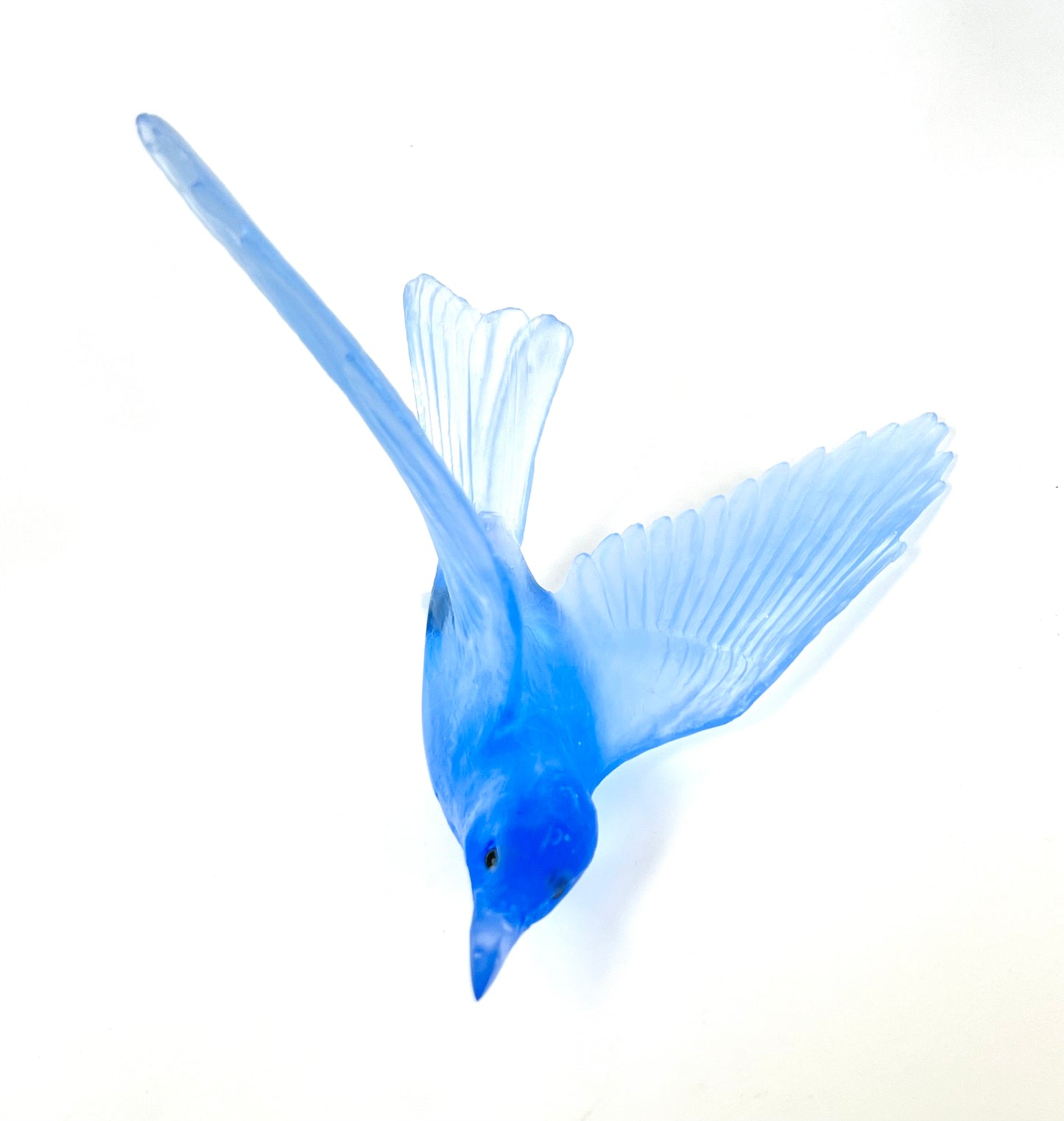 Bellbird / Korimako - Pale Cobalt Blue