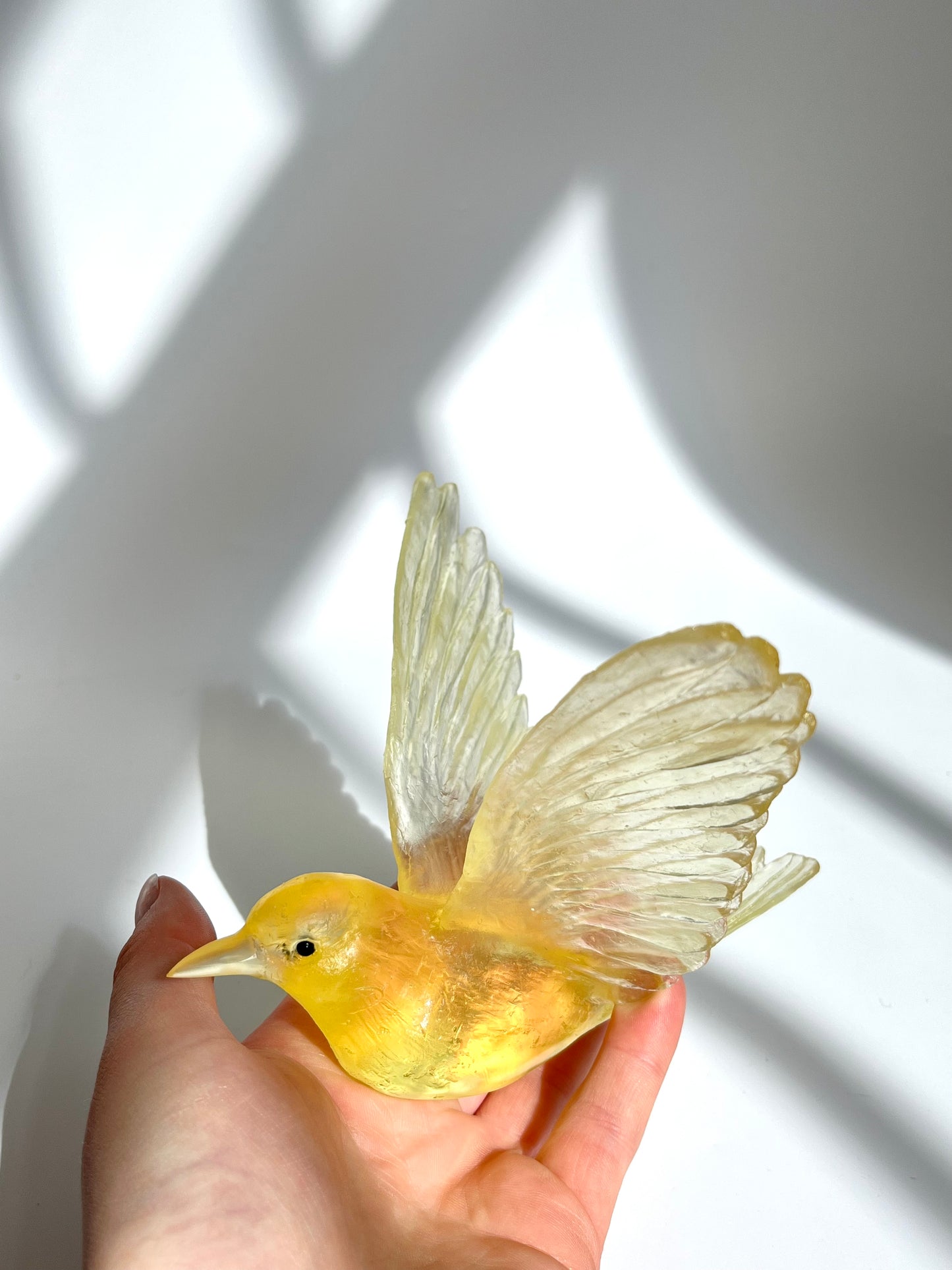 Stitchbird / Hihi - Citrine