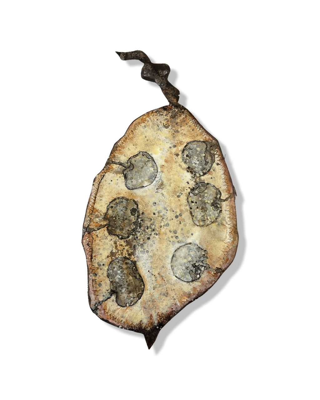 Honesty Seed Pod Sculpture - "Honesty" (23248)