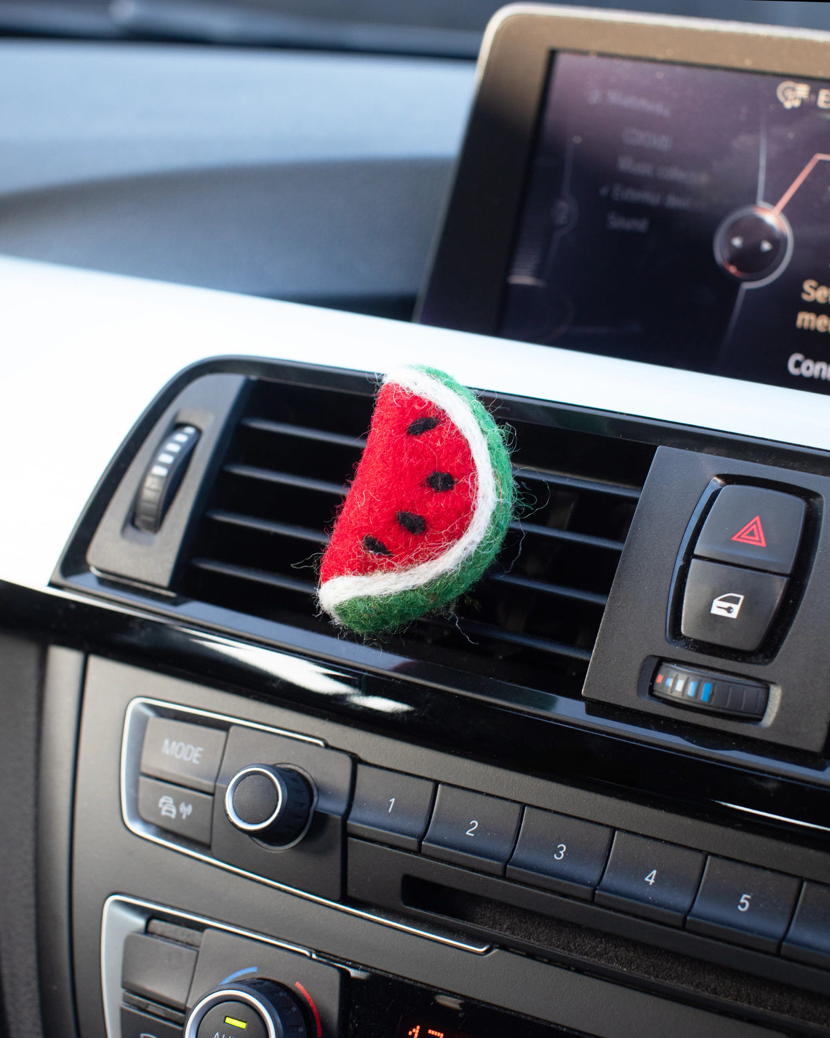 Watermelon Car Freshener Set - Grapefruit & Mint scent