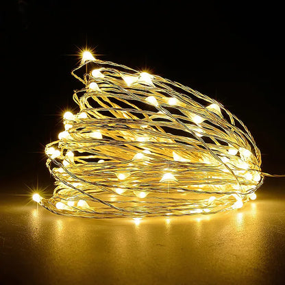 Outdoor Plug In Seed Lights - 20m - Silver