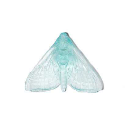 Lake Blue Glass Moth / Pūriri (Wings in)  Artwork - Classic - by Luke Jacomb