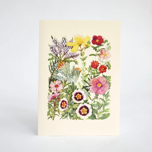 Floral Journal - Wildflowers