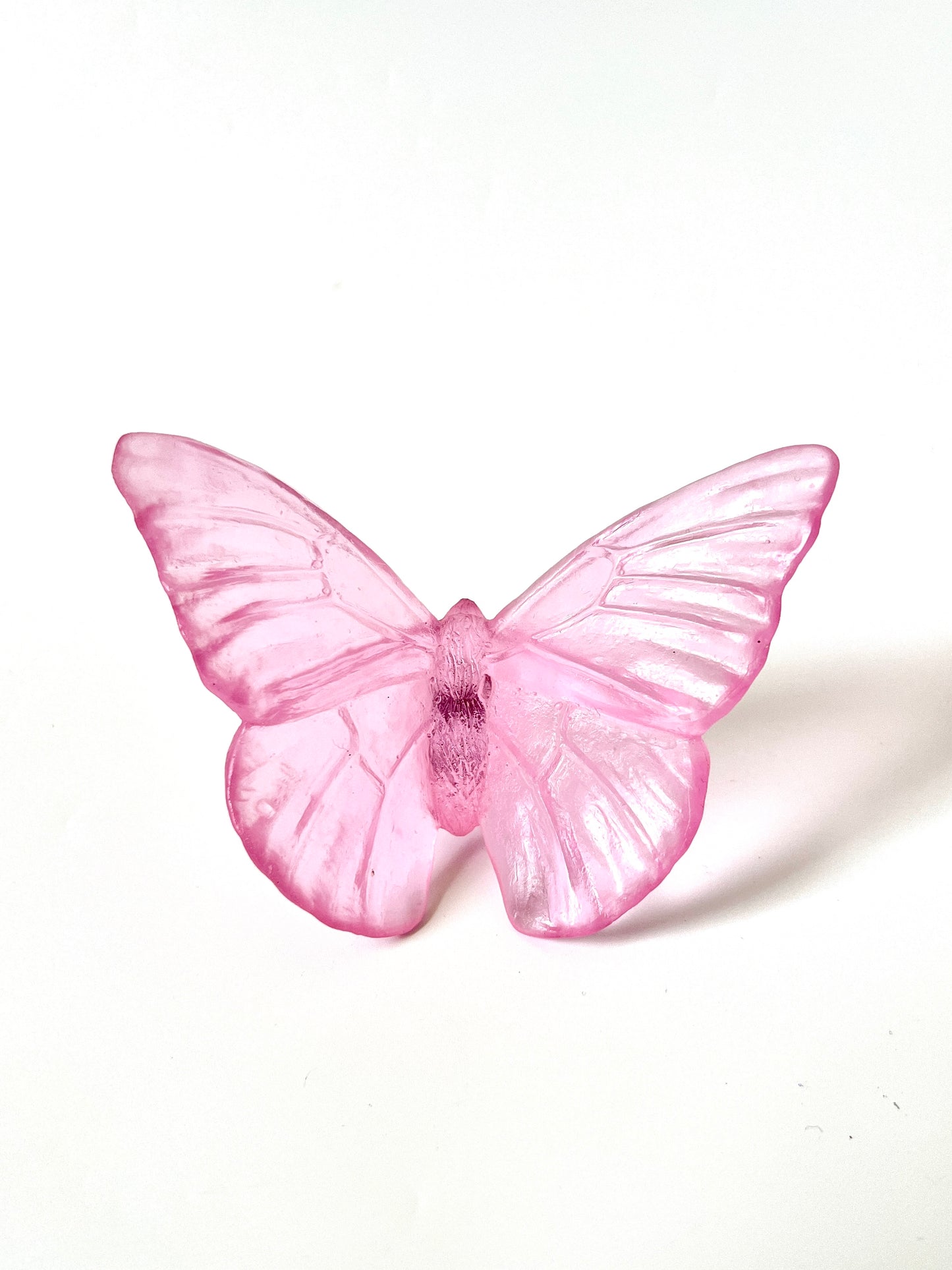 Pink Medium Glass Butterfly Artwork - Classic - by Luke Jacomb