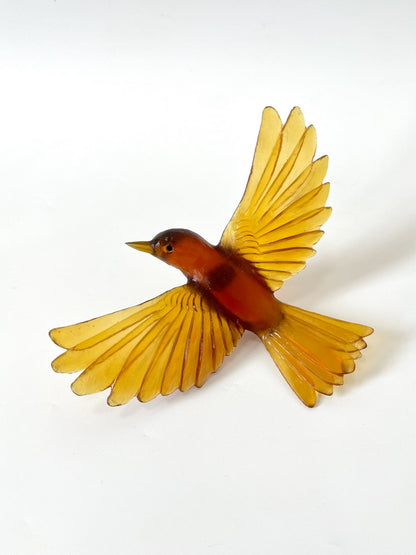 Yellowhead / Mōhua - Kelp