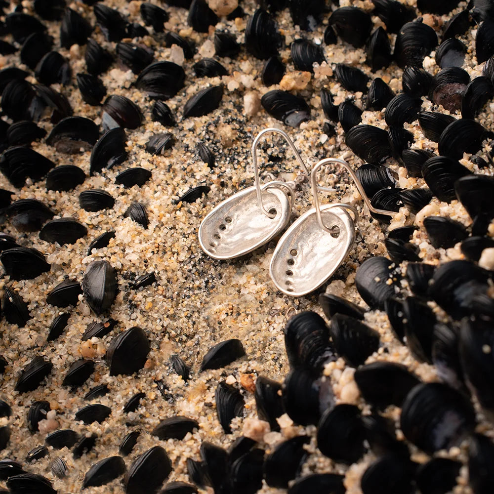 Silver Baby Paua Earrings