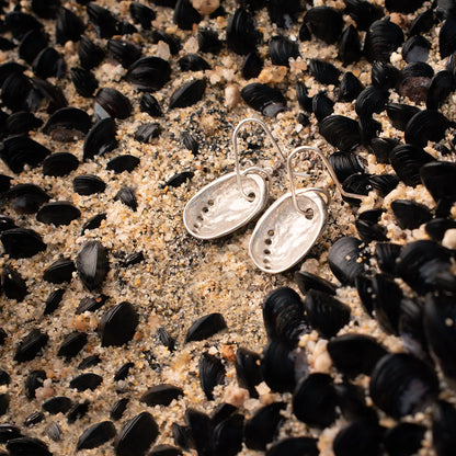 Silver Baby Paua Earrings