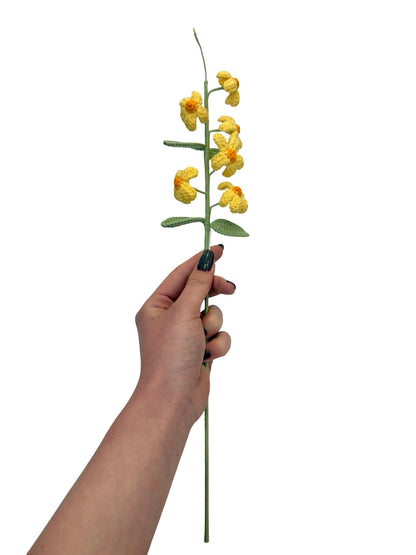 Crocheted Plumbago Flower - Yellow