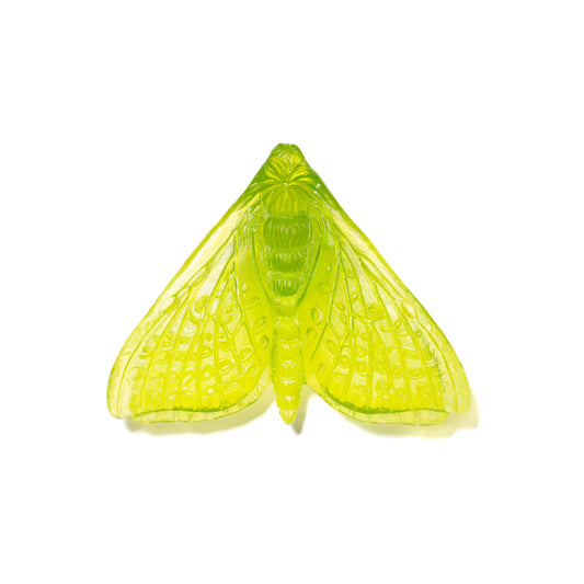 Lime Glass Moth / Pūriri (Wings in) Glass Butterfly Artwork - Classic - by Luke Jacomb