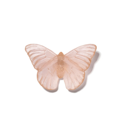 Peach Admiral Glass Butterfly Artwork - Classic Medium - by Luke Jacomb