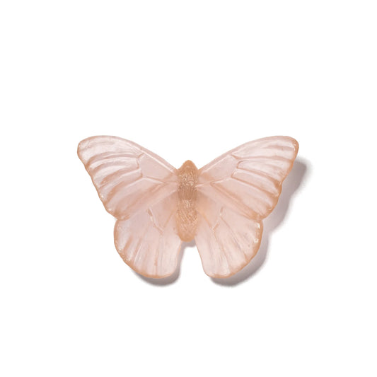 Peach Admiral Glass Butterfly Artwork - Classic Medium - by Luke Jacomb