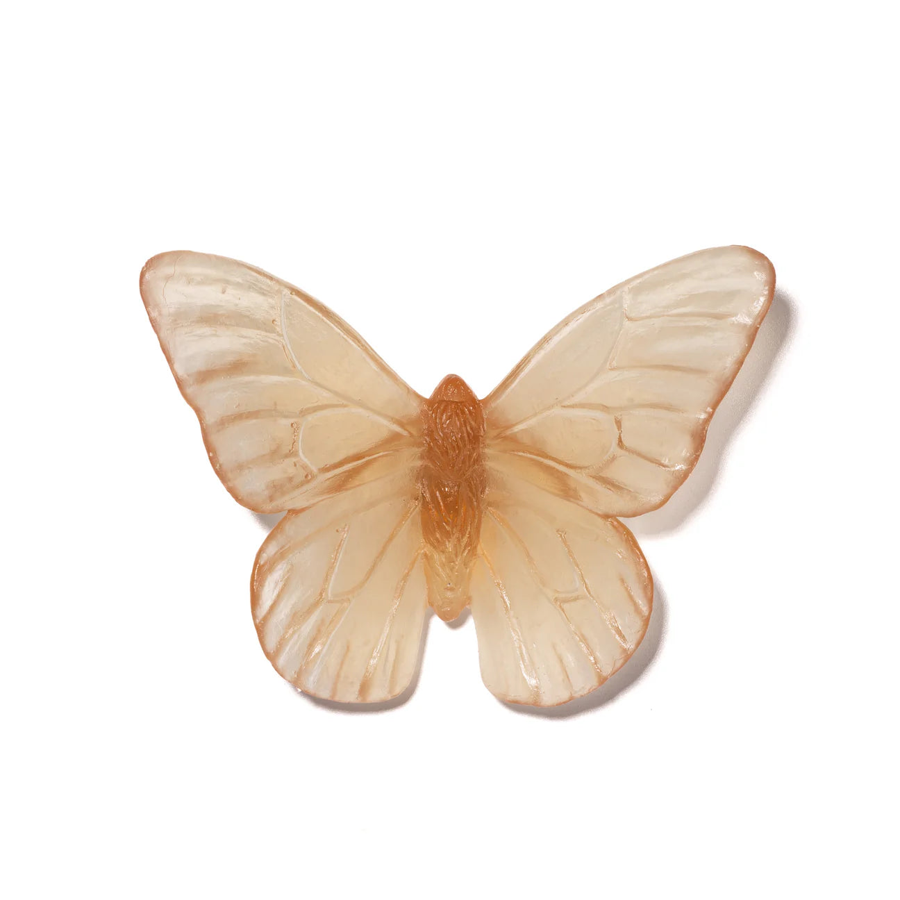 Semillon Monarch Glass Butterfly Artwork - Classic - by Luke Jacomb