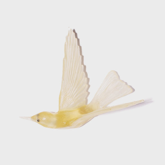 Bellbird / Korimako #2 (Wings Back) - Citrine