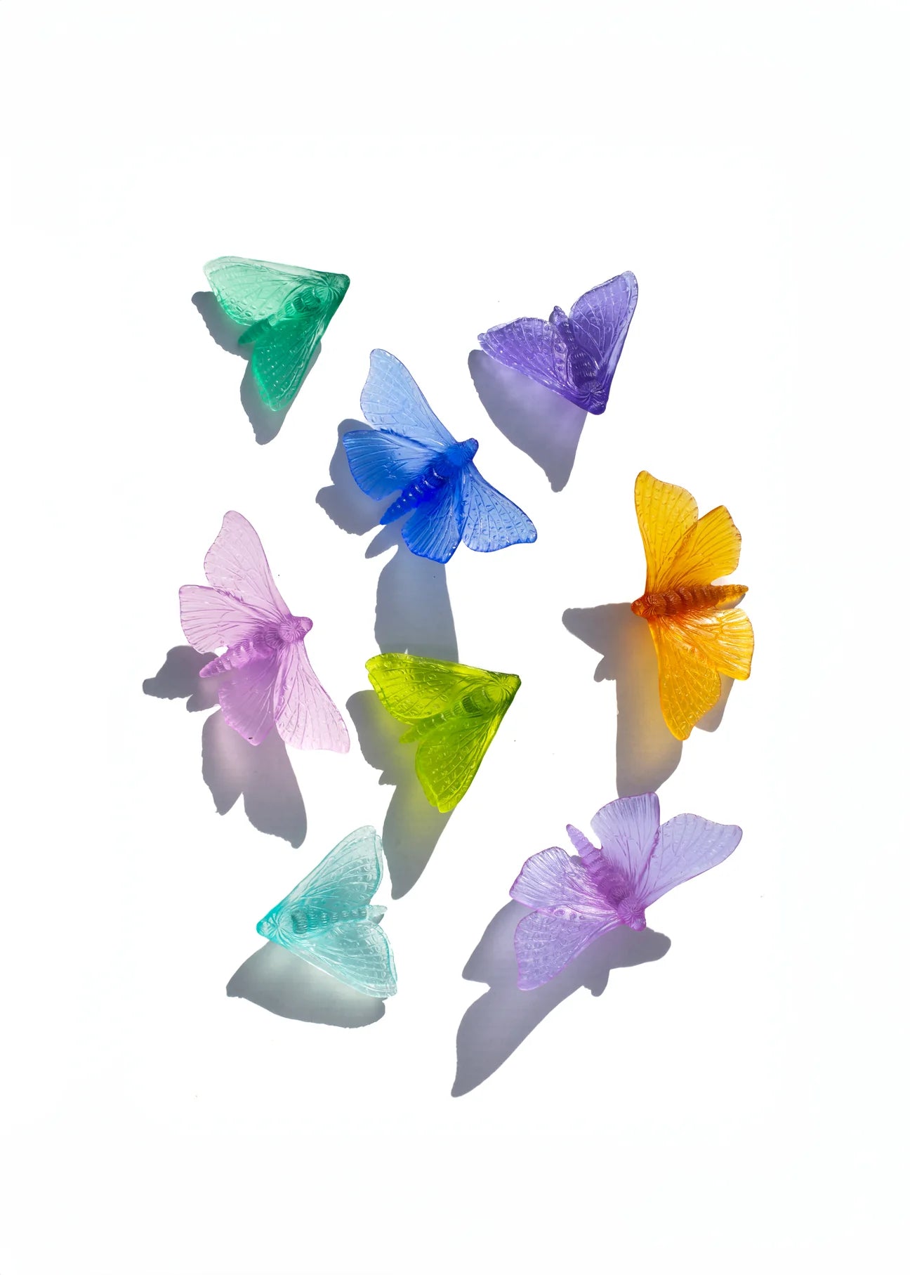 Lime Glass Moth / Pūriri (Wings in) Artwork - Classic - by Luke Jacomb