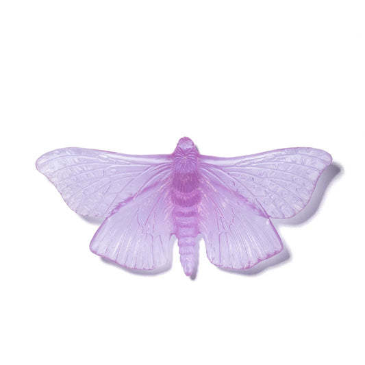 Lilac Large Glass Moth / Pūriri Glass Butterfly Artwork - Classic - by Luke Jacomb