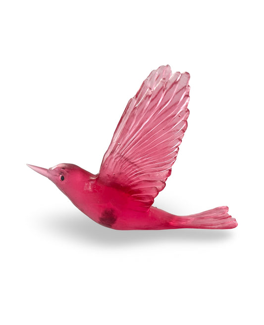 Shining Cuckoo / Pipiwharauroa - Gold Ruby
