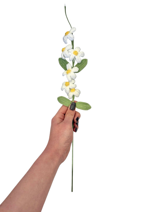 Crocheted Plumbago Flower - White