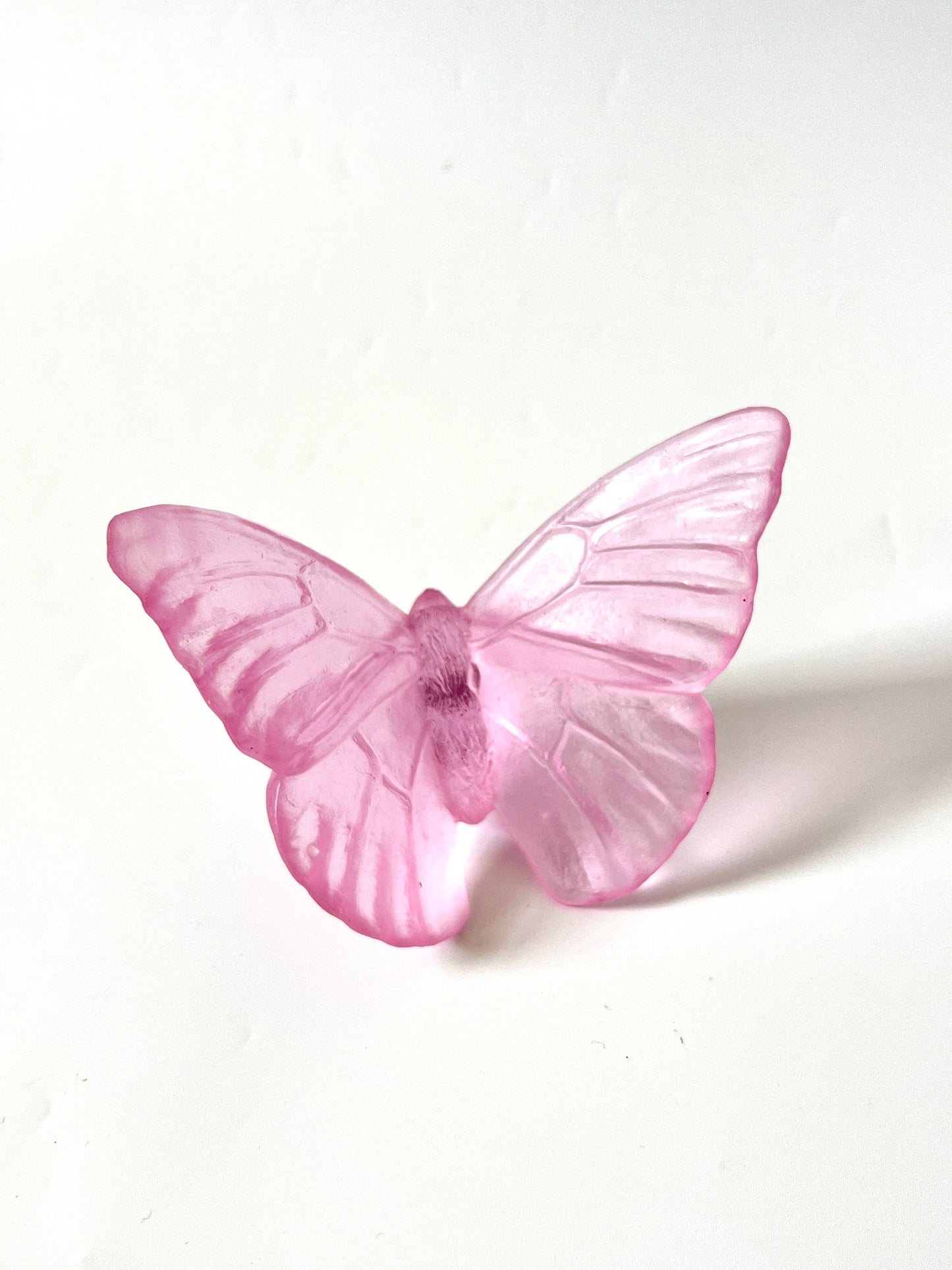 Pink Medium Glass Butterfly Artwork - Classic - by Luke Jacomb