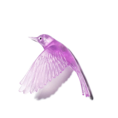 Pōpokotea / Whitehead - Fuchsia