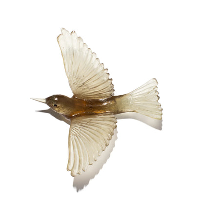 Silvereye / Tauhou - Bronze