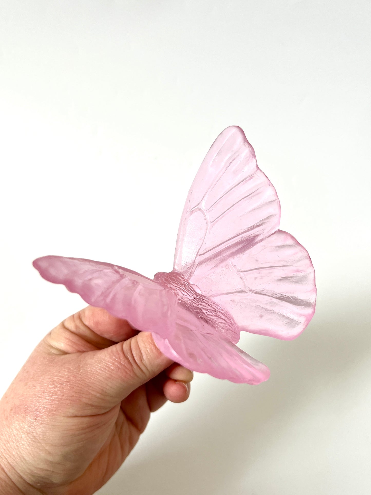 Pink Medium Glass Butterfly Artwork - Classic - by Luke Jacomb