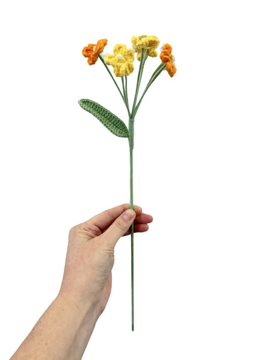 Crocheted Forget Me Not - Yellows