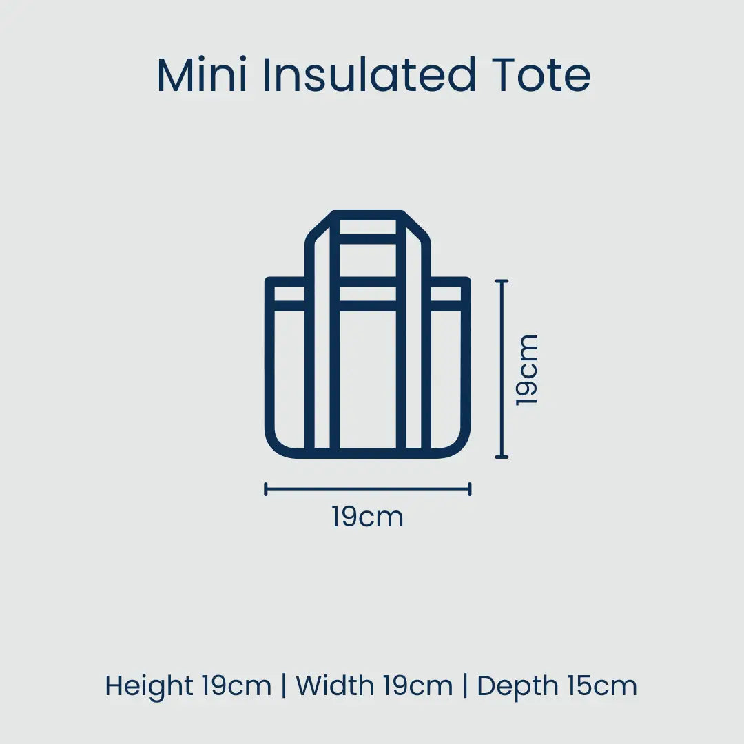 Mini Insulated Tote Bag - Blue Stripe